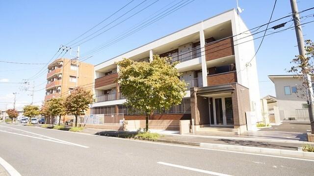 グラシオッソカツラ（102） 外観