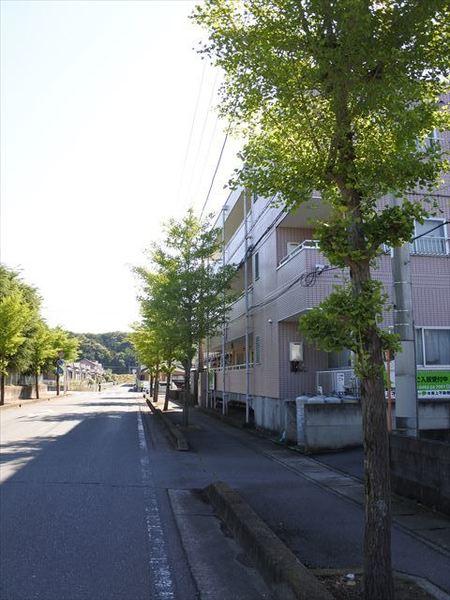 パレス扇 物件画像