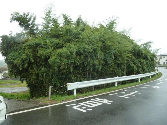 土地2