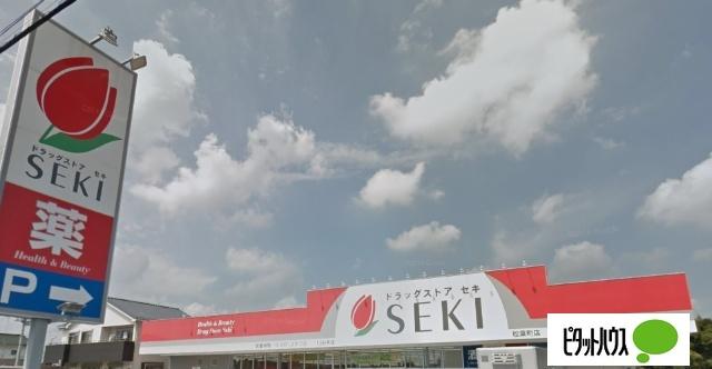 ドラッグストアセキ松葉町店