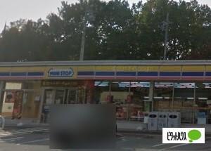 ミニストップ東松山上野本店