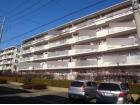 東松山市パークタウン五領　第6団地1号棟外観1