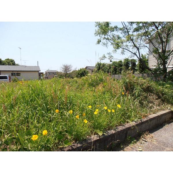 弓渡1113-5 土地