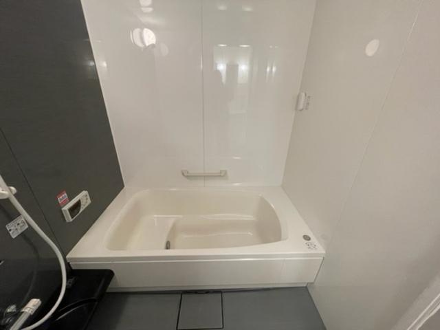 ピュアロータス　Ⅱ（103） 部屋画像
