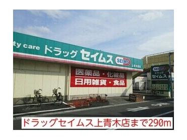 ドラッグセイムス上青木店：290m