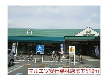 マルエツ安行慈林店：510m