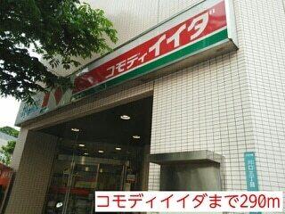 コモディイイダ：290m