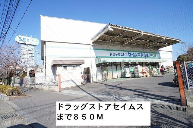 ドラッグストアセイムス：850m