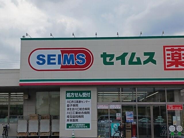 ドラッグセイムス川口天神橋店：337m