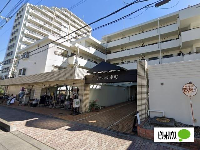 ビアリッツ幸町（505） 外観
