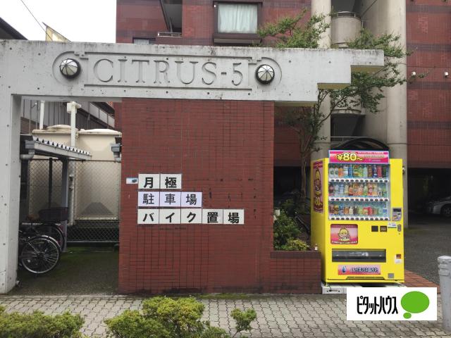シトラス５ビル　バイク駐輪場 外観