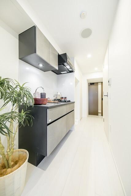 ルジュール神田須田町（502） 部屋画像