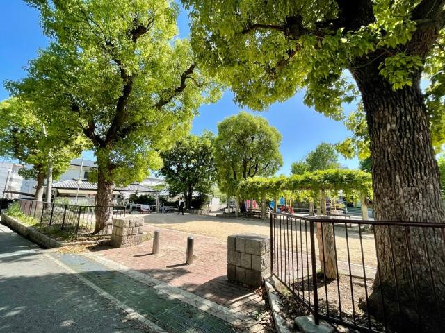 夢野公園：62m