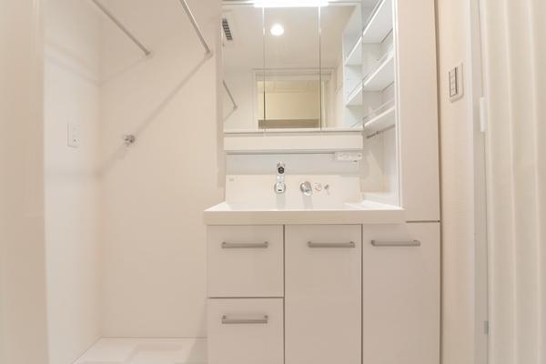 ライオンズマンション神戸元町第弐 洗面