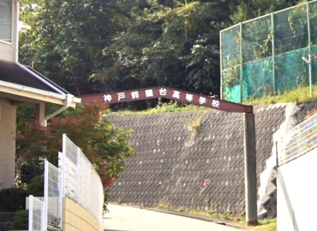 高校