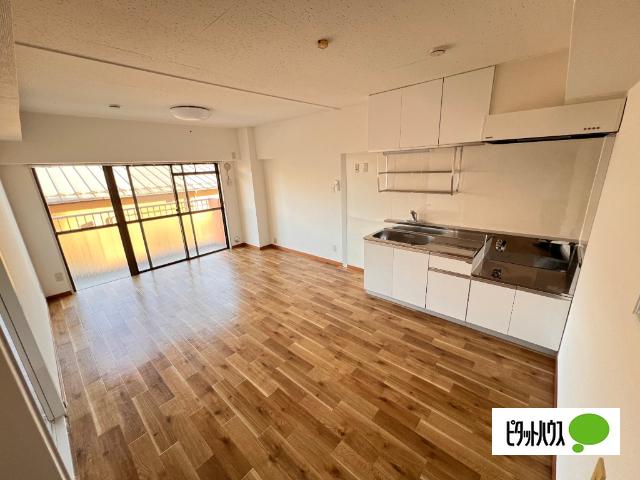サングリーンハイツ（204） 部屋画像