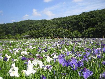 北山公園：1243m