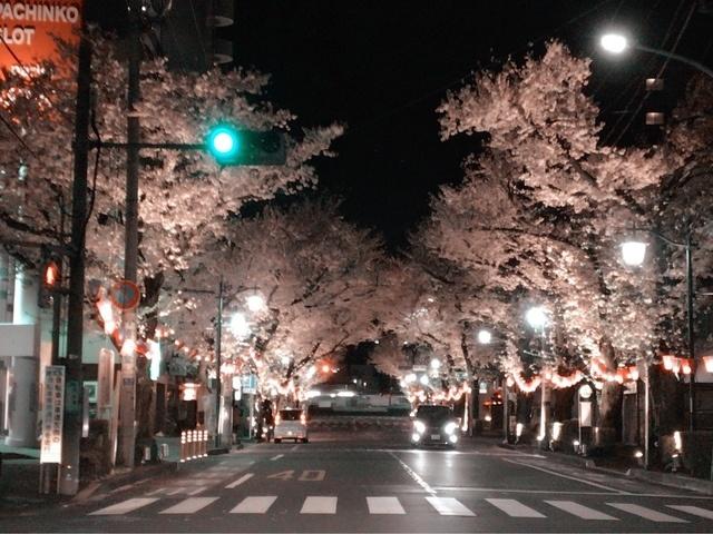 さくら通り