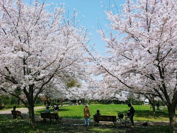 萩山四季の森公園