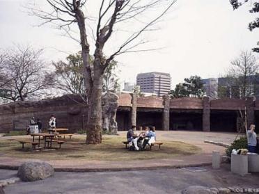 大森貝塚遺跡庭園