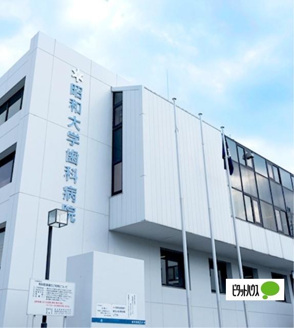 昭和医科大学歯科病院