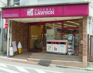 ナチュラルローソン北千束駅前店