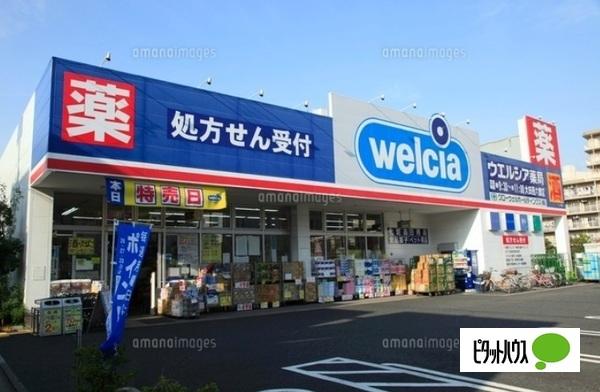 ドラックストア