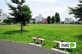公園