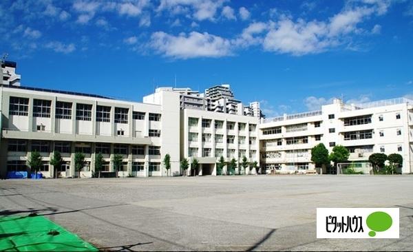 中学校
