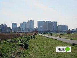 公園