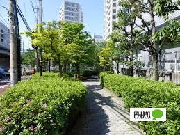 公園