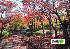 公園