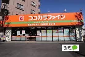 ドラックストア