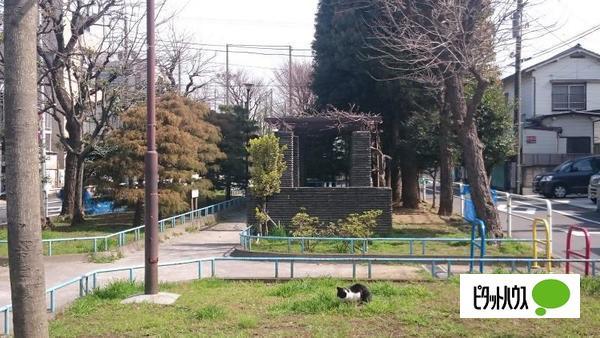 公園