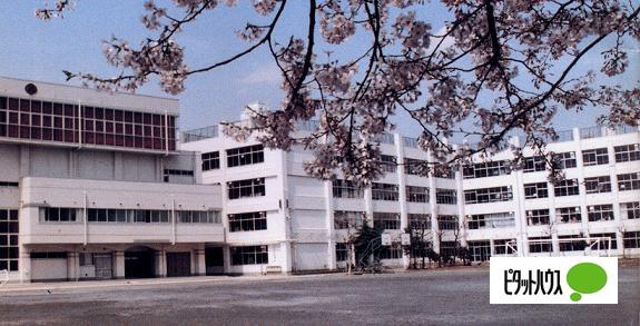 中学校