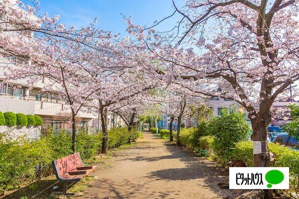 公園