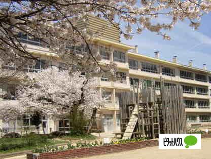 小学校