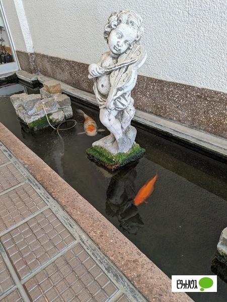 田園調布マンション エントランス