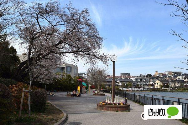 公園
