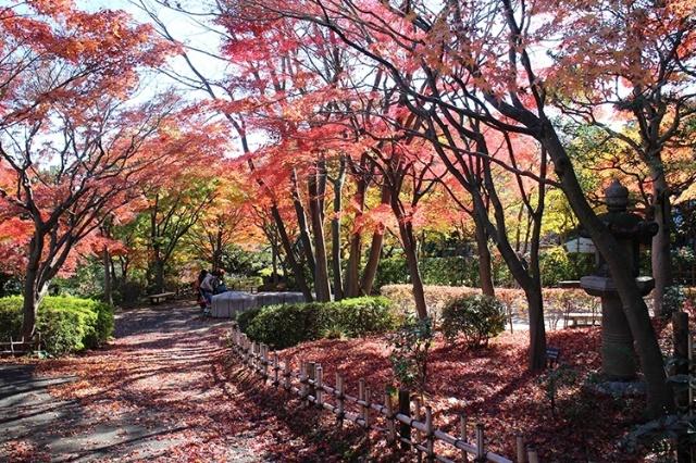 公園