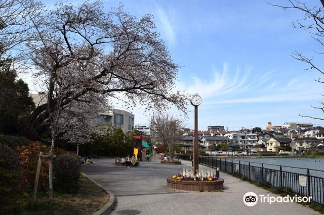 公園