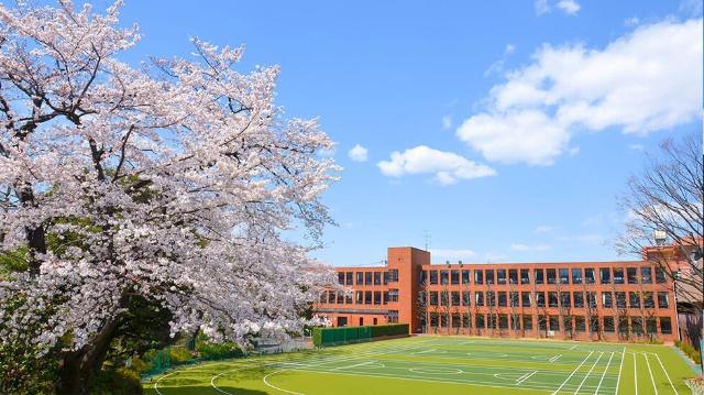 中学校