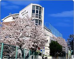 小学校