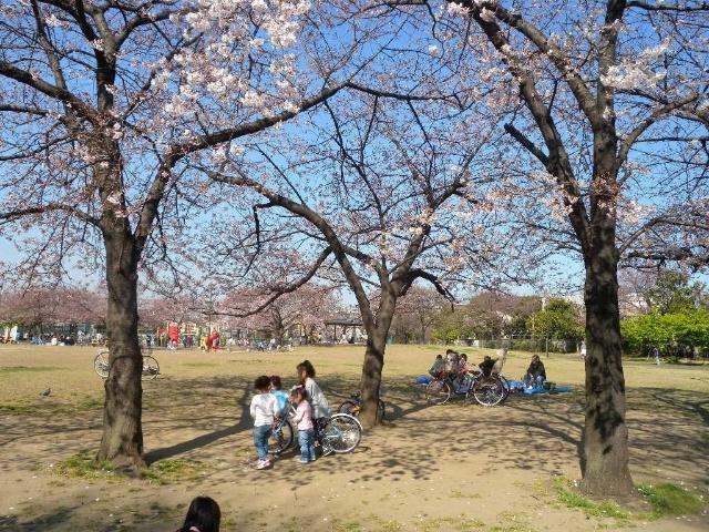 公園