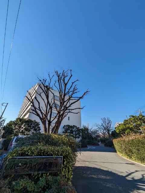 パークハイツ多摩川 共有部分