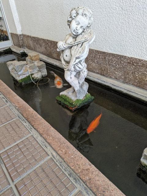 田園調布マンション エントランス