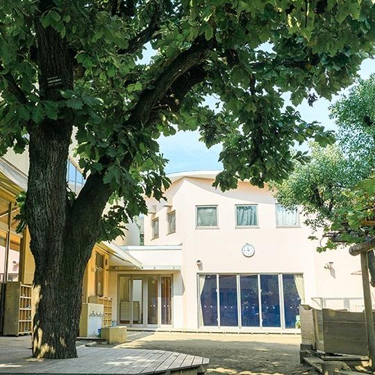幼稚園、保育園