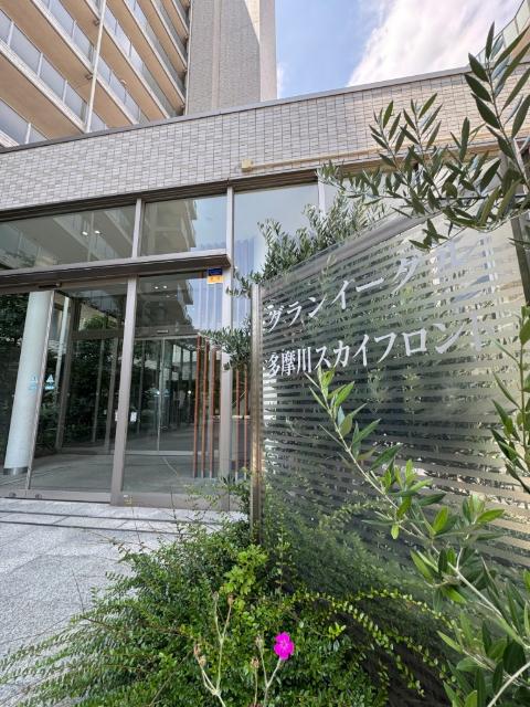 グランイーグル多摩川スカイフロント エントランス