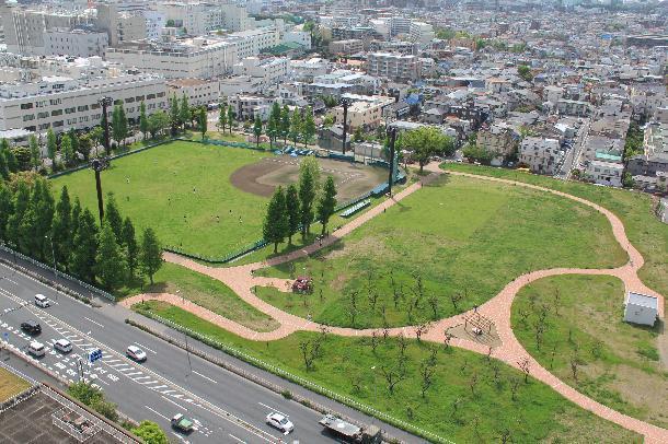 公園