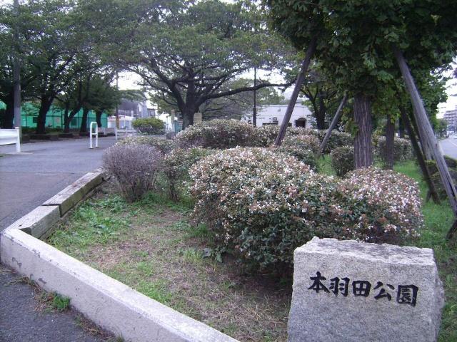 公園